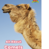 All About Camels Front Cover