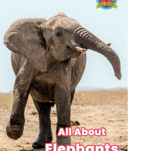 All About Elephants