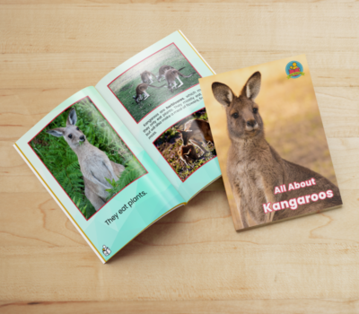 All About Kangaroos interior pages