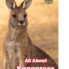 All About Kangaroos cover