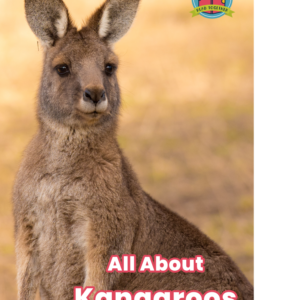 All About Kangaroos