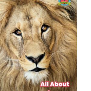 All About Lions