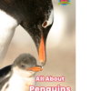 All About Penguins front cover