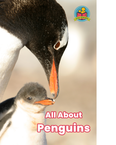 All About Penguins front cover