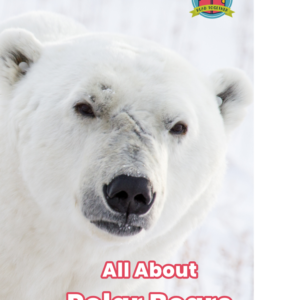 All About Polar Bears