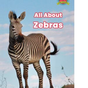 All About Zebras