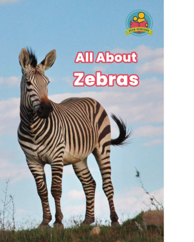 All About Zebras cover