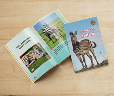 All About Zebras interior pages
